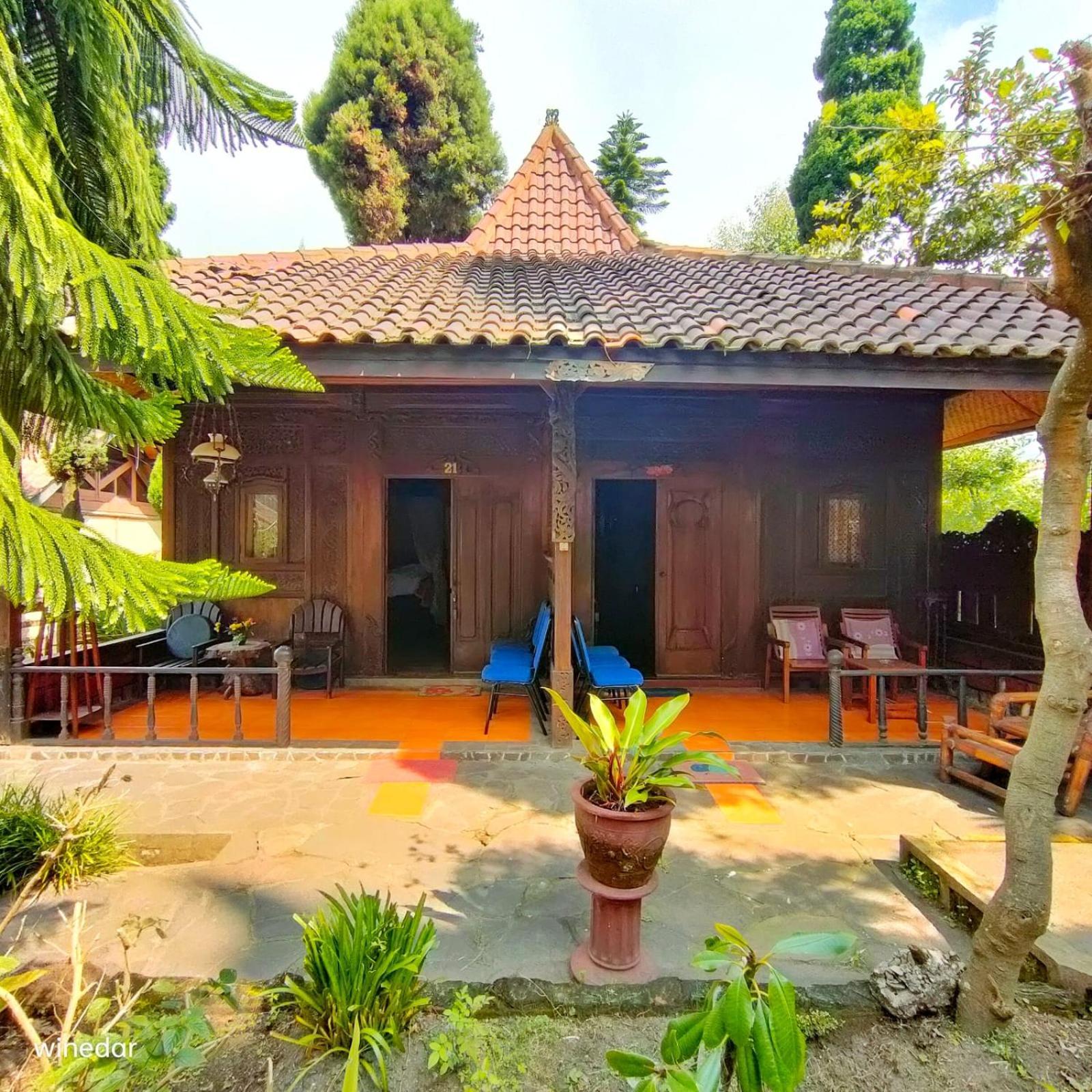 Yoschi'S Hotel Bromo Ngadisari 외부 사진
