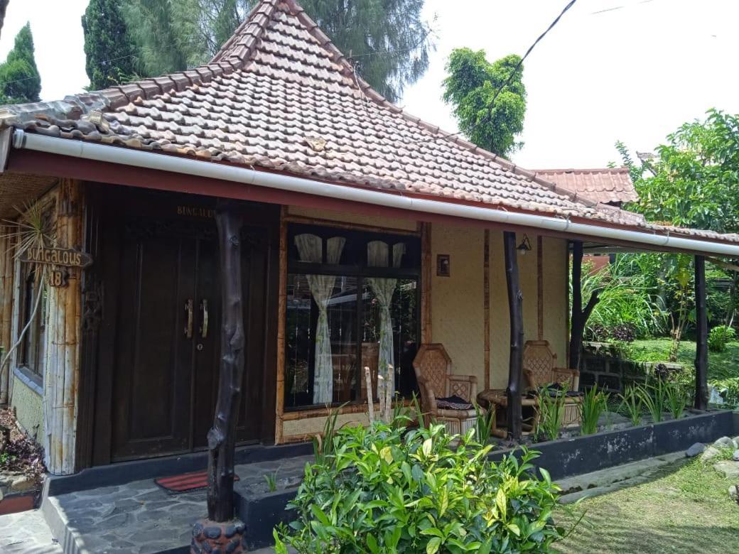Yoschi'S Hotel Bromo Ngadisari 외부 사진